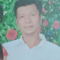 Trần Thùy Linh